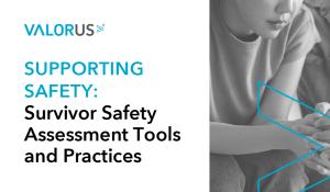 Supporting Safety: Survivor Safety Assessment Tools and Practices