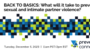 Back to Basics: What will it take to prevent sexual and intimate partner violence?