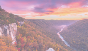 Integrating Domestic Violence and Substance Use in Safety Planning