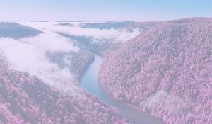 Evidence-Based Treatment Approaches to Supporting Women with Opioid Use Disorder in MAT Programs