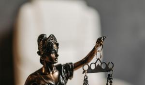 Clemency for Criminalized Survivors Part 2 of 4