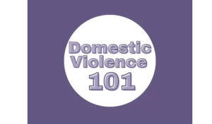 Domestic Violence 101
