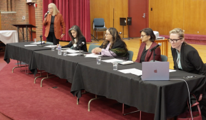 The Local Impacts of Immigration Enforcement on Gender Based Violence Survivors: With a Case Study from Minneapolis, USA