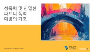 성폭력 및 친밀한 파트너 폭력 예방의 기초