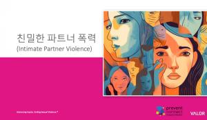 친밀한 파트너 폭력