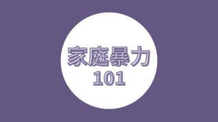 家庭暴力101