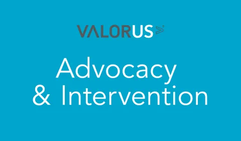 Blue image with text that states VALORUS, Advocacy and Intervention