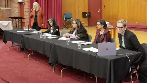 Photo of CSW panel speakers