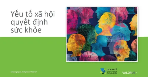 Các Yếu Tố Quyết Định Xã Hội Của Sức Khỏe
